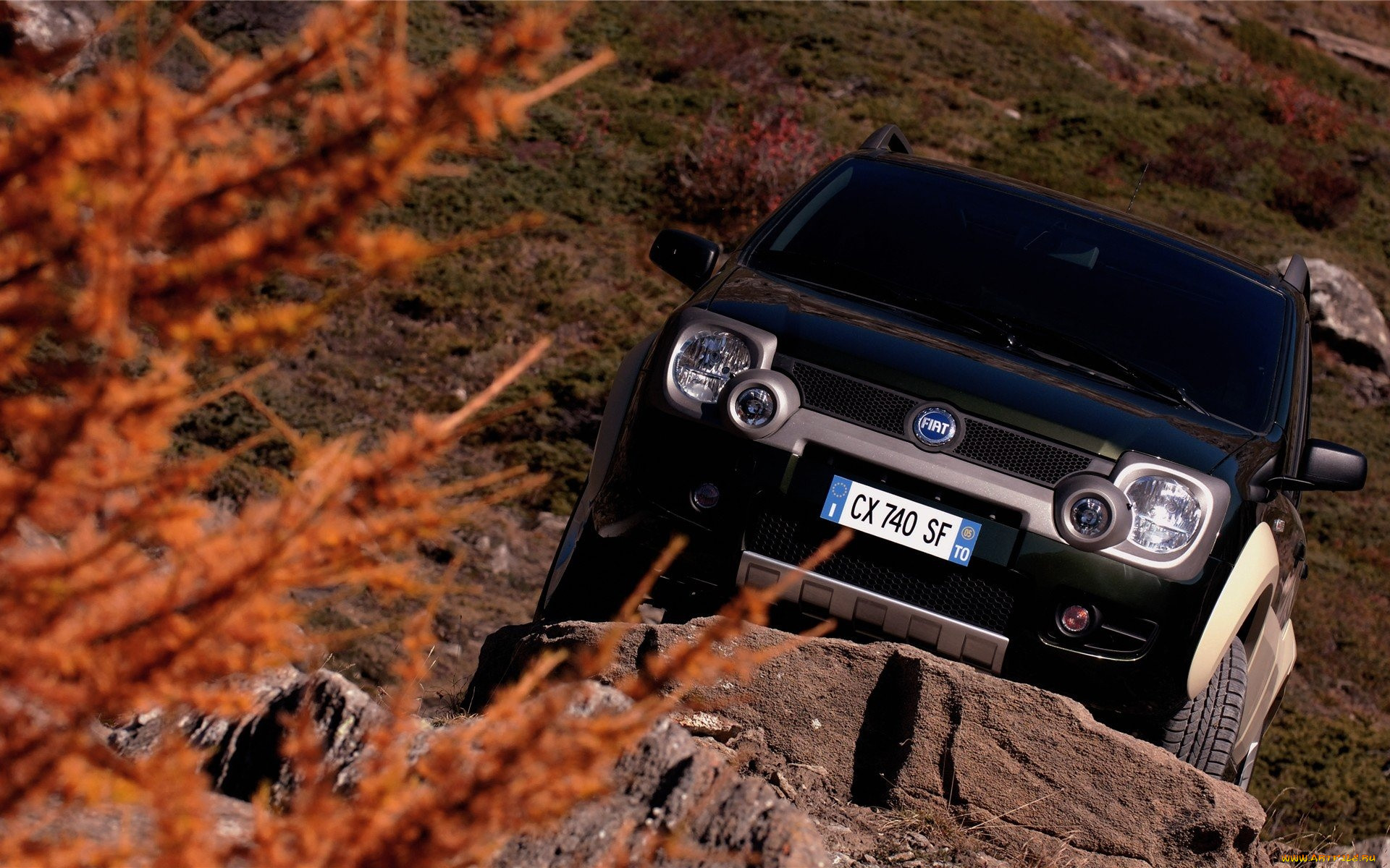 , fiat